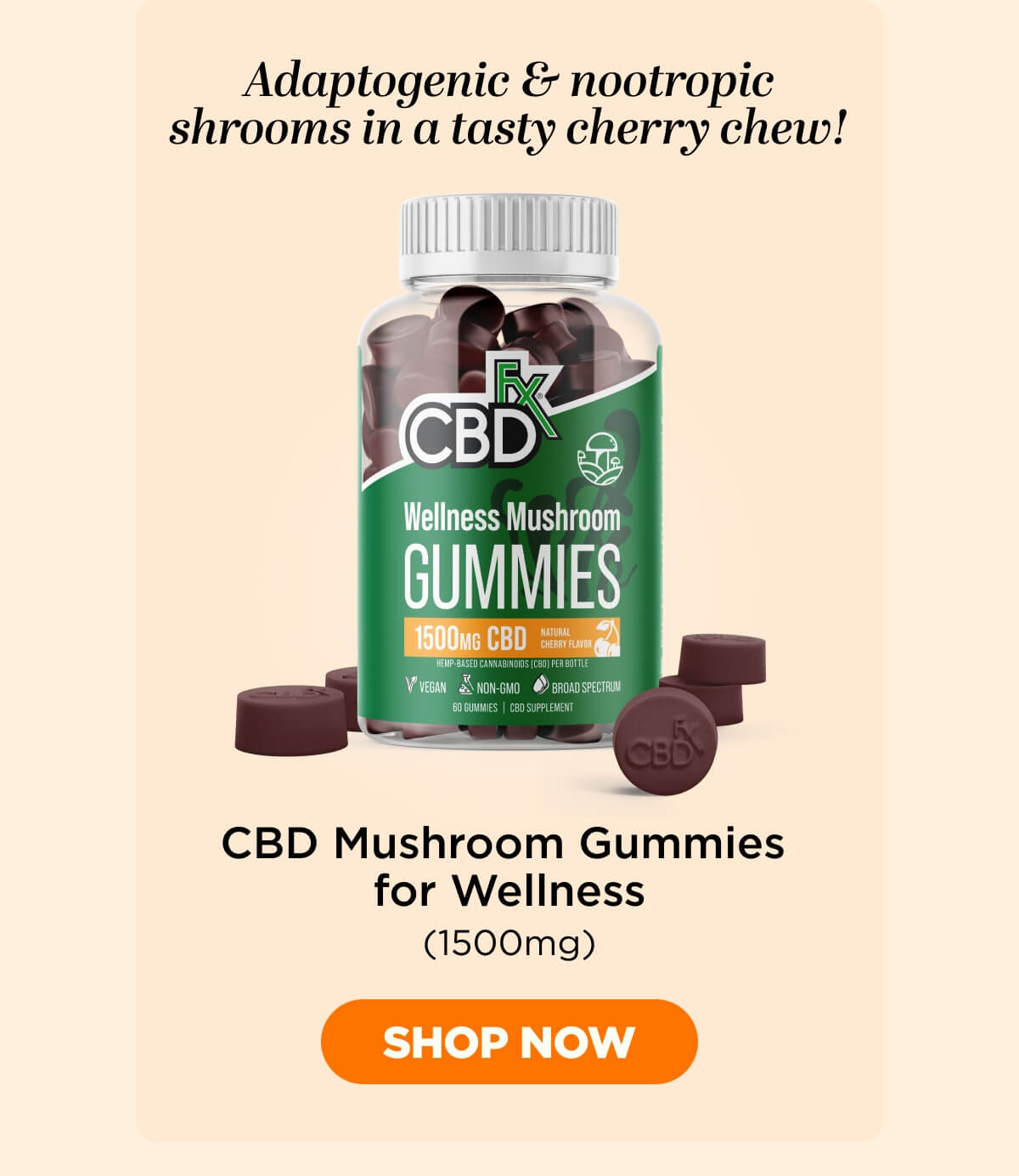 Wellness Mushroom Gummies