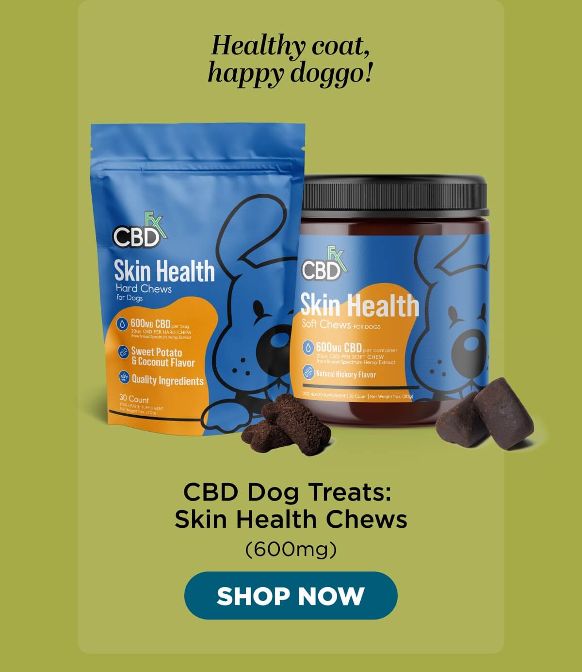 CBD Dog Treats: Skin Health Chews