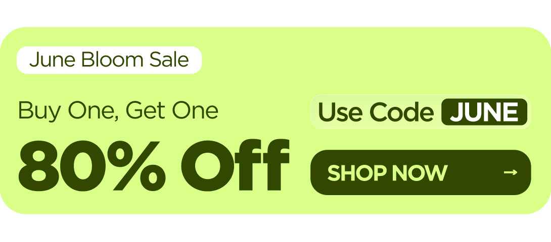 June Bloom Sale Buy One, Get One 80% OFF Use code JUNE