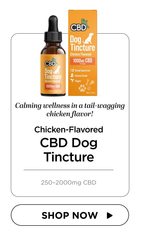 Chicken-Flavored CBD Dog Tincture