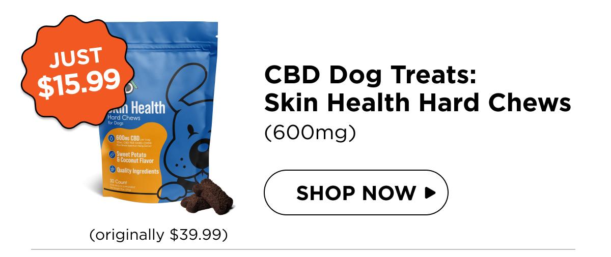 CBD Dog Treats: Skin Health Chews
