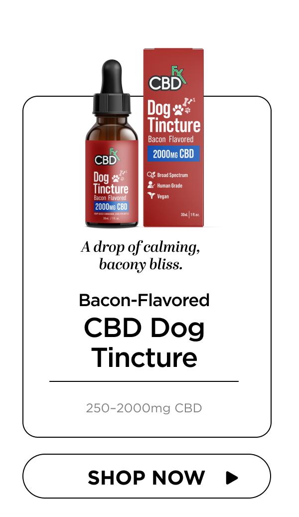 CBD Oil for Dogs (Bacon Flavored)