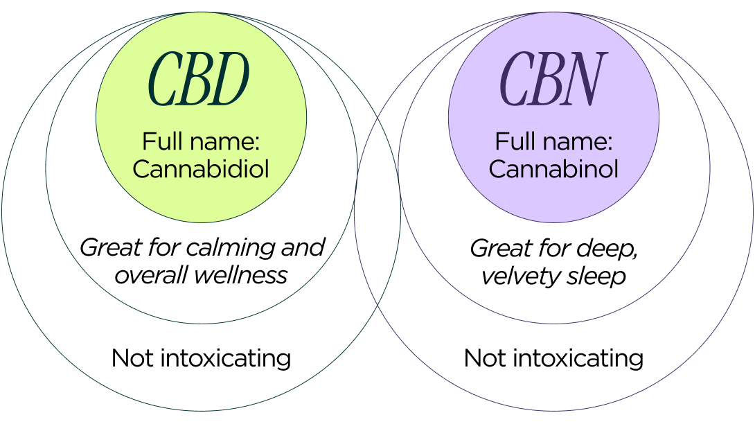 CBD Full name: Cannabidiol Great for calming and overall wellness Not intoxicating CBN Full name: Cannabinol Great for deep, velvety sleep Also, not intoxicating!