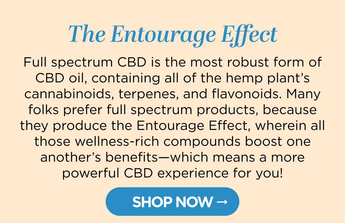 The Entourage Effect. Full spectrum CBD is the most robust form of CBD oil, containing all of the hemp plant’s cannabinoids, terpenes, and flavonoids. Many folks prefer full spectrum products, because they produce the Entourage Effect, wherein all those wellness-boosting compounds boost one another’s benefits—which means a more powerful CBD experience for you! Try one of our full spectrum CBD products today and feel the difference for yourself! [SHOP NOW]