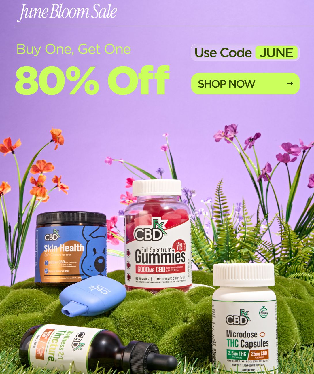 June Bloom Sale Buy One, Get One 80% OFF Use code JUNE
