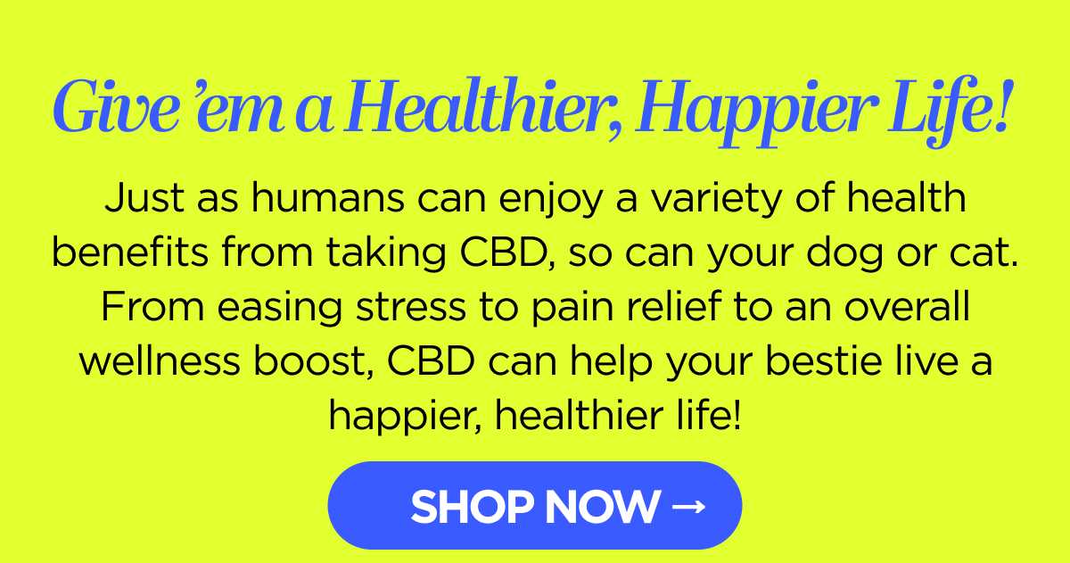 Give 'em a Healthier, Happier Life! Just as humans can enjoy a variety of health benefits from taking CBD, so can your dog or cat. From easing stress to pain relief to an overall wellness boost, CBD can help your bestie live a happier, healthier life! [SHOP NOW]