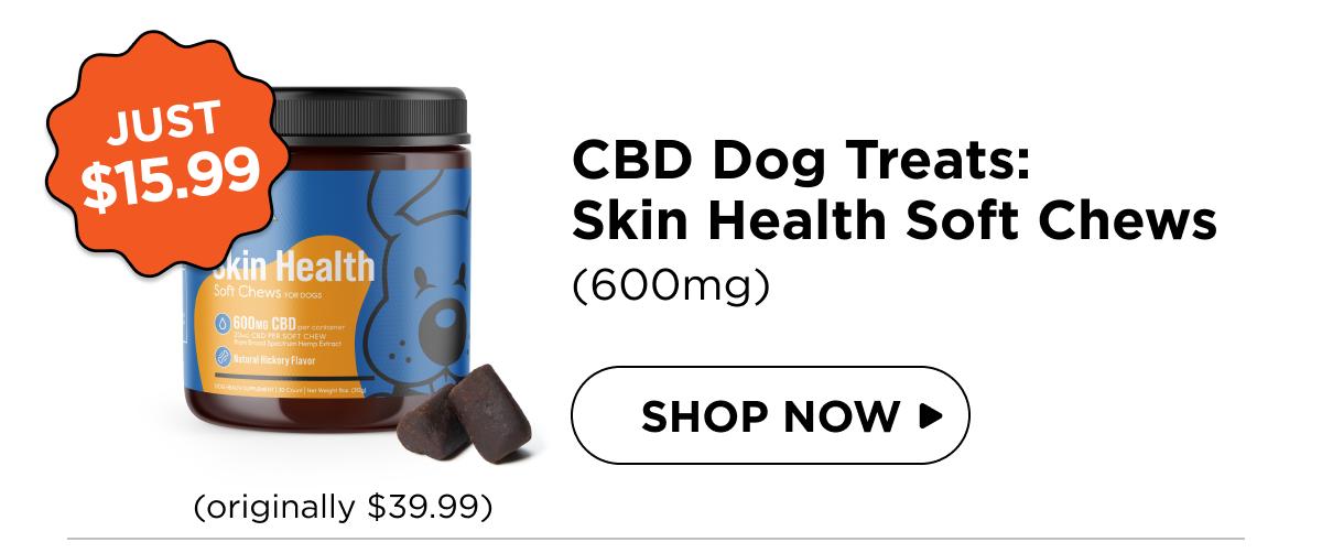 CBD Dog Treats: Skin Health Chews