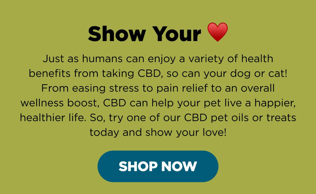 Show Your ♥️ Just as humans can enjoy a variety of health benefits from taking CBD, so can your dog or cat! From easing stress to pain relief to an overall wellness boost, CBD can help your pet live a happier, healthier life. So, try one of our CBD pet oils or treats today and show your love! [SHOP NOW]