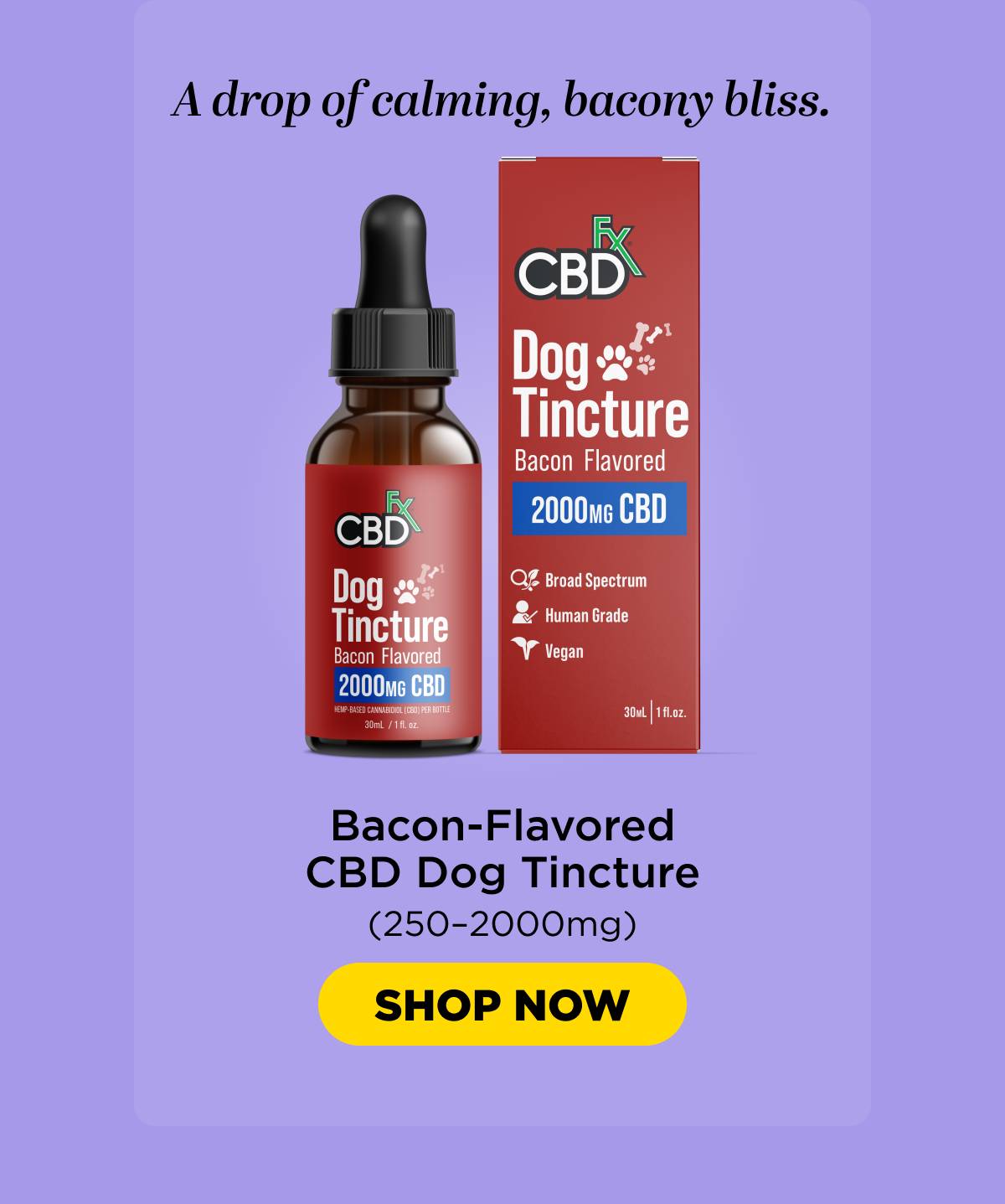 CBD Oil for Dogs (Bacon Flavored)
