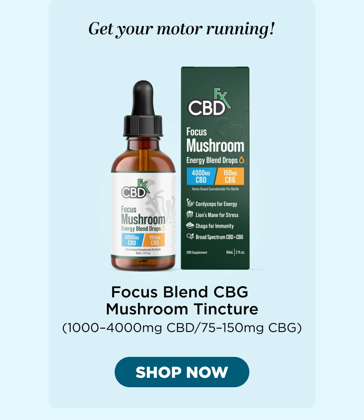 Focus Blend CBG Mushroom Tincture