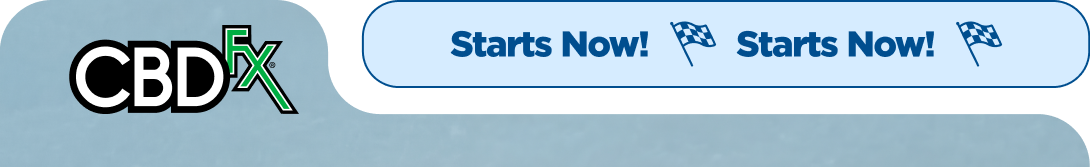 Buy One, Get One 60% off Starts Now!