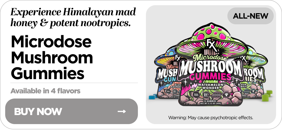 Microdose Mushroom Gummies