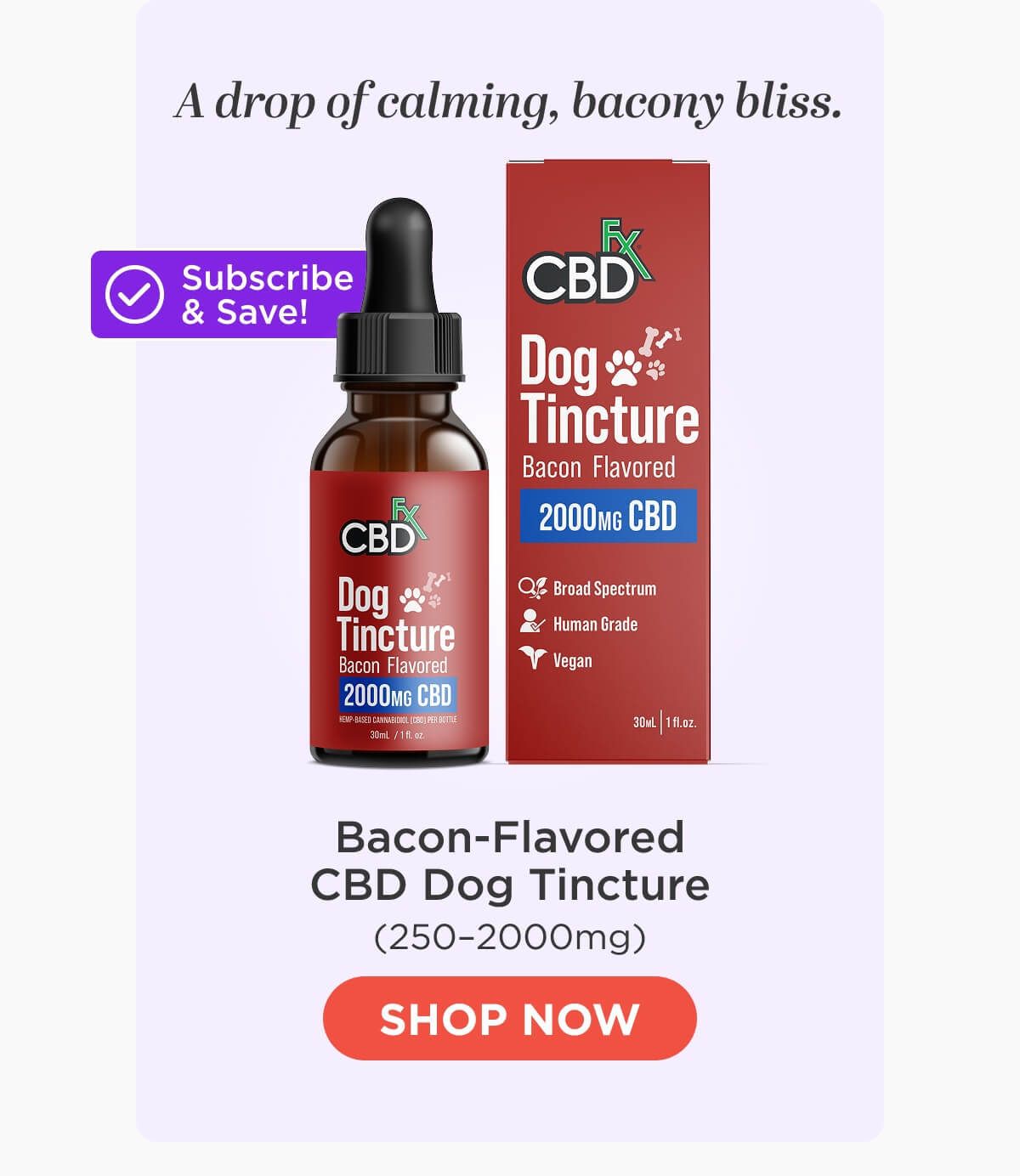 CBD Oil for Dogs