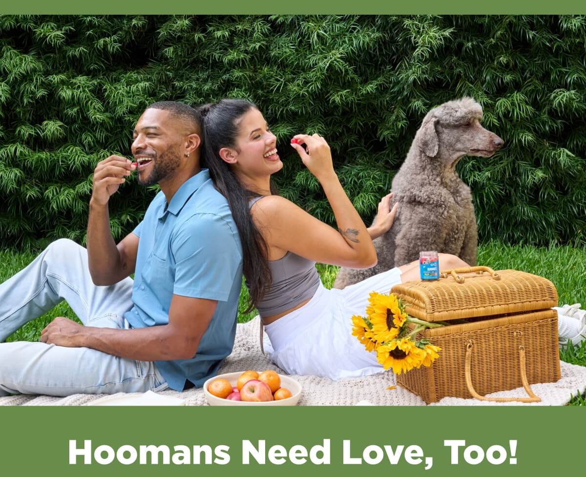 Hoomans Need Love, Too!