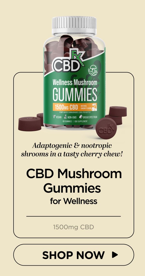 Wellness Mushroom Gummies