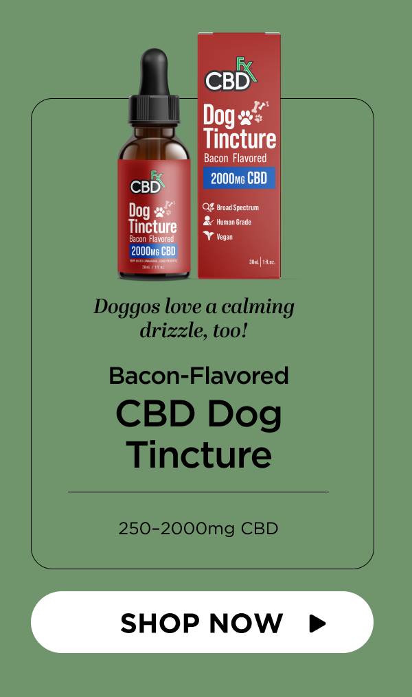 CBD Oil for Dogs (Bacon Flavored)