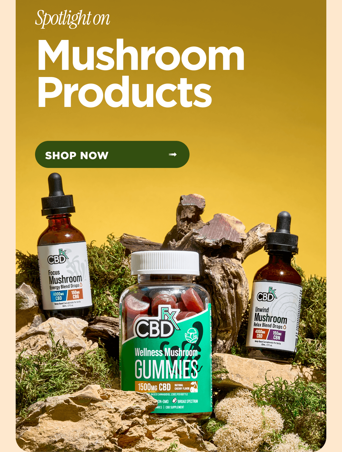 Spotlight on Mushroom Products