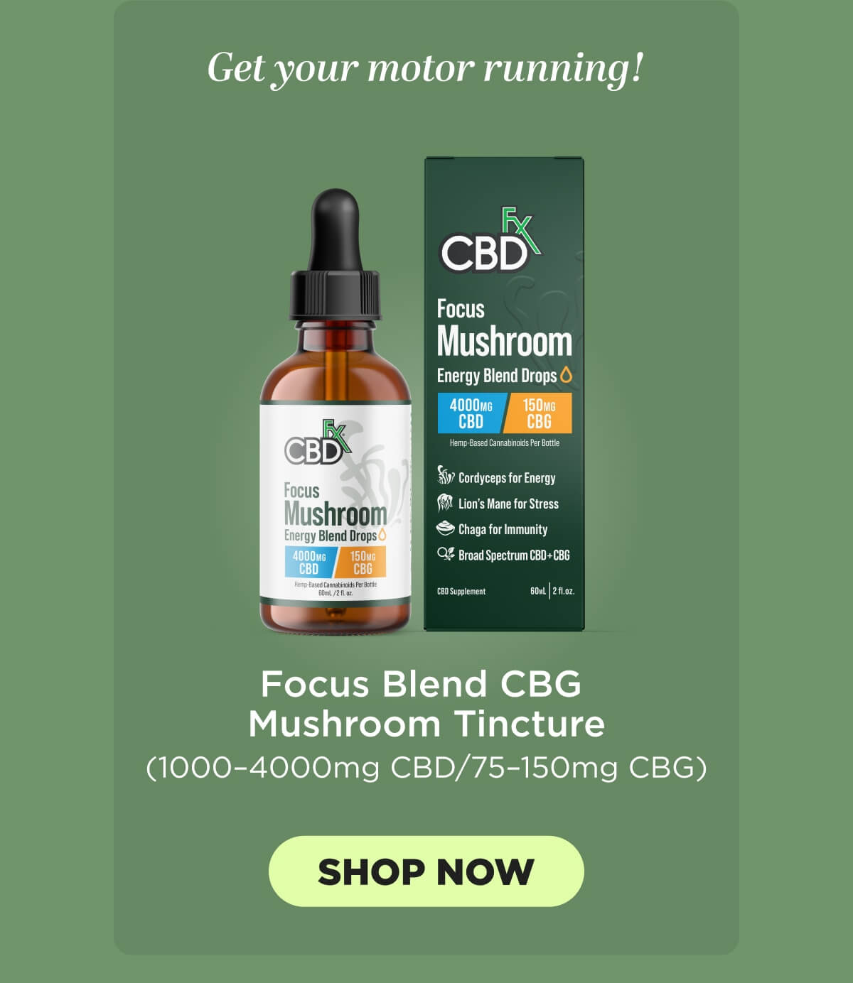 Focus Blend CBG Mushroom Tincture
