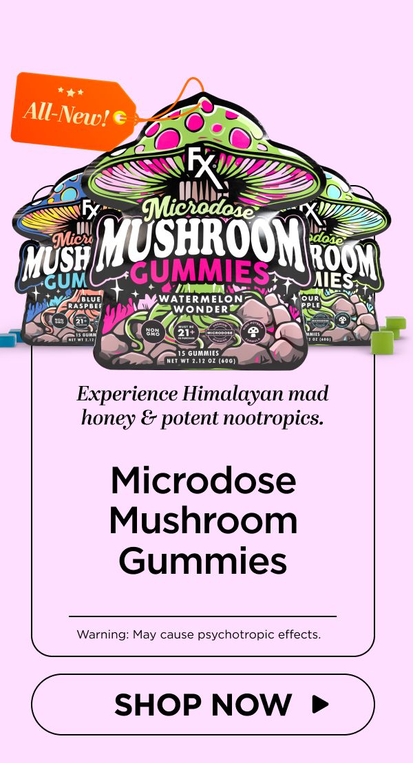 Microdose Mushroom Gummies