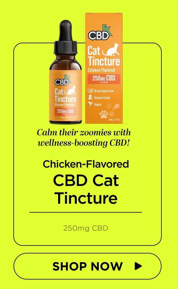 Chicken-Flavored CBD Cat Tincture