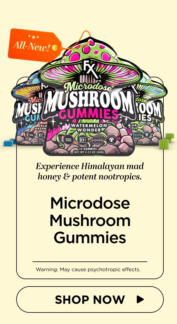Microdose Mushroom Gummies