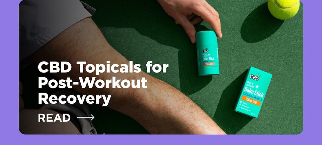 CBD Topicals for Post-Workout Recovery [READ ARTICLE]