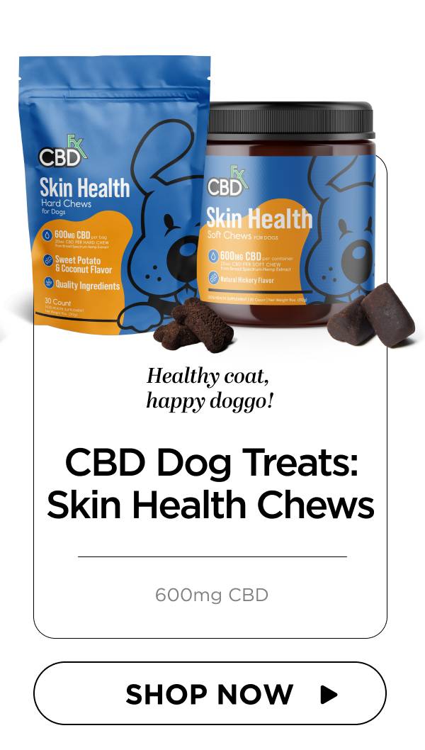 CBD Dog Treats: Skin Health Chews