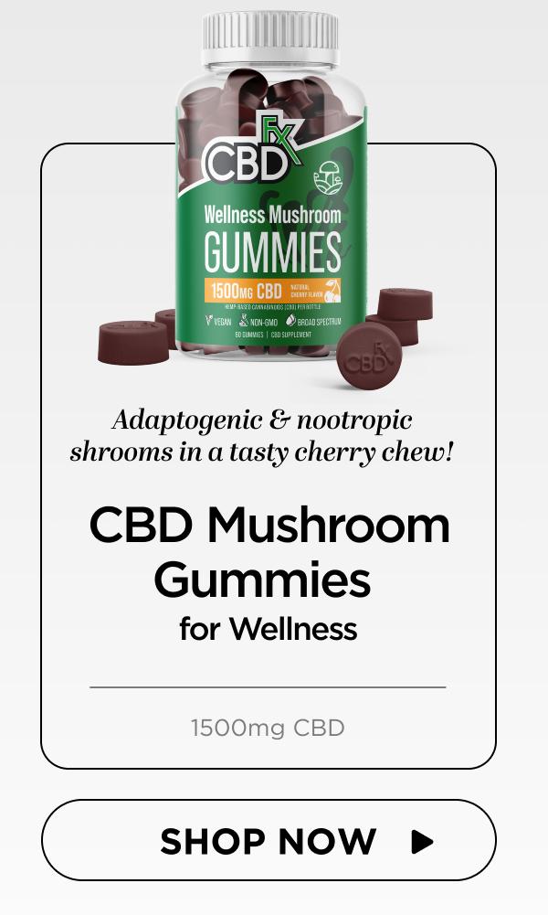 Wellness Mushroom Gummies