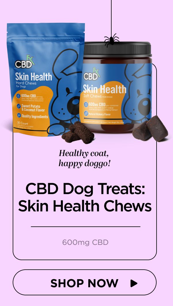 CBD Dog Treats: Skin Health Chews