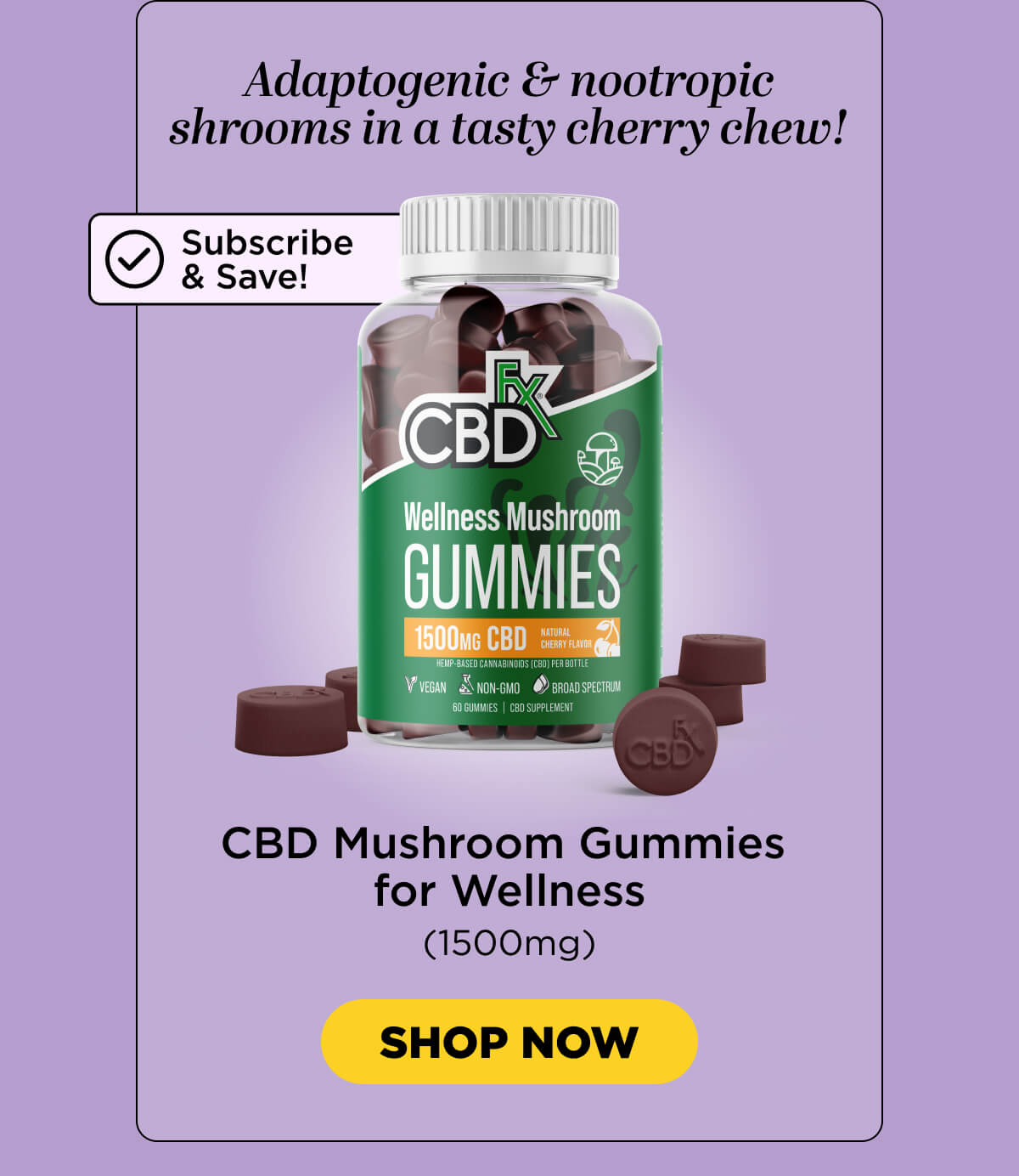 Wellness Mushroom Gummies