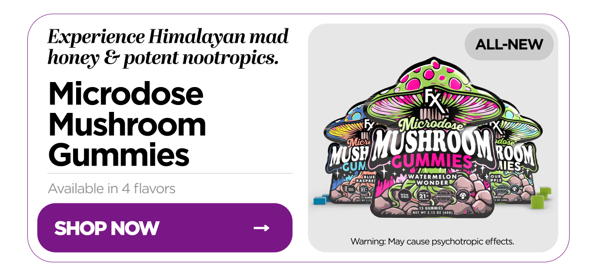 Microdose Mushroom Gummies
