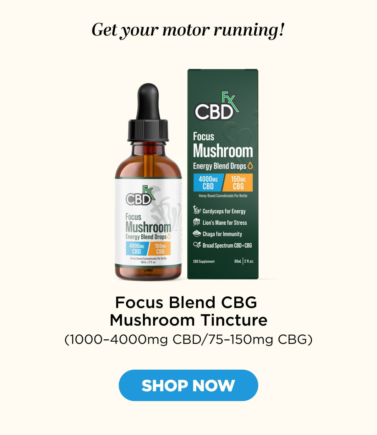 Focus Blend CBG Mushroom Tincture