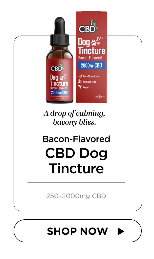 CBD Oil for Dogs (Bacon Flavored)
