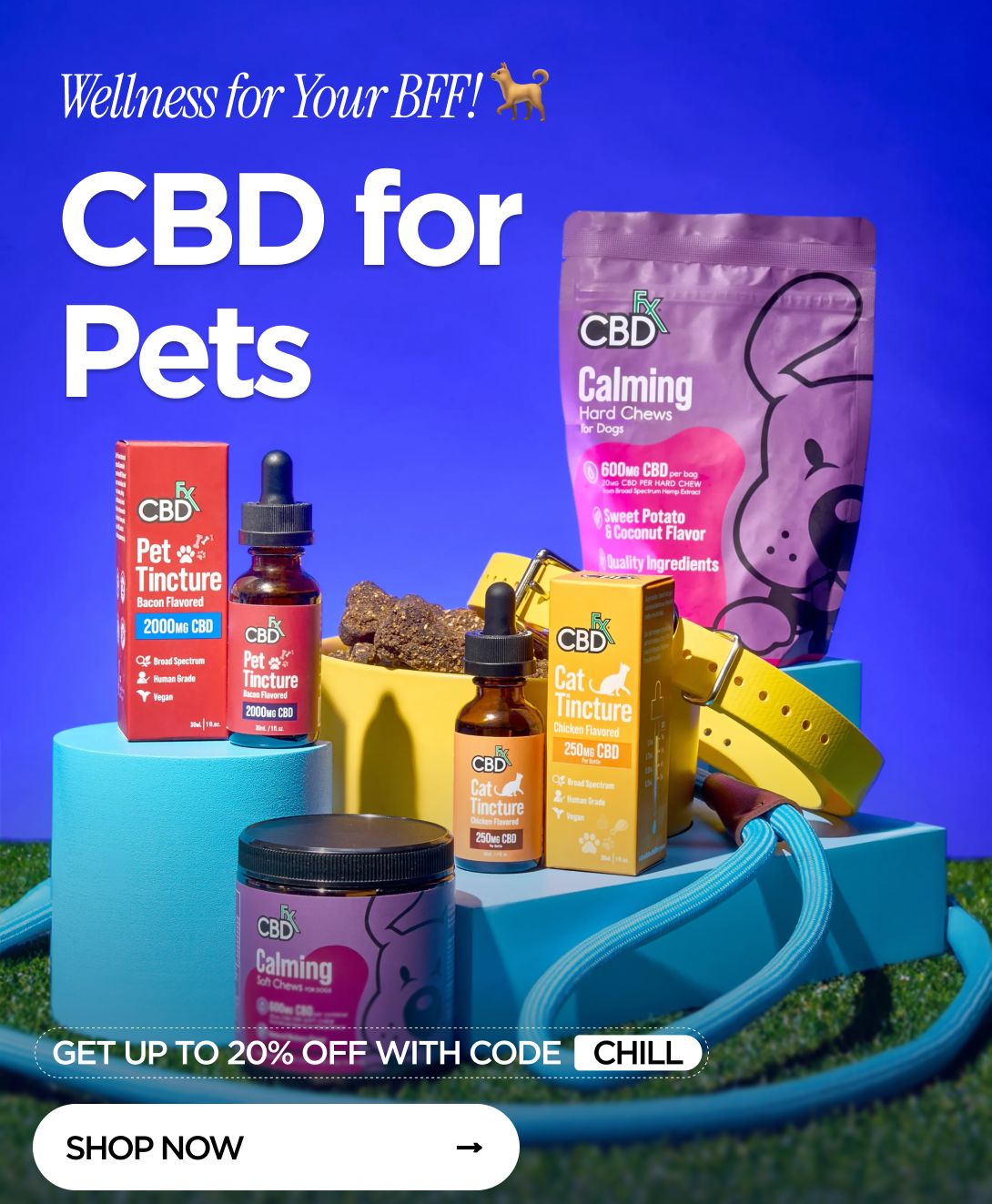 Wellness for Your BFF! CBD for Pets GET UP TO 20% OFF WITH CODE CHILL SHOP NOW