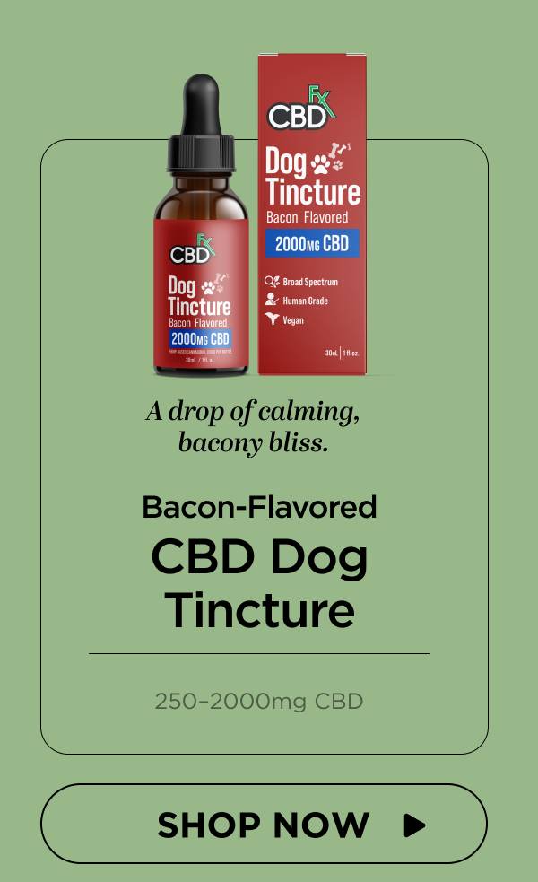 CBD Oil for Dogs (Bacon Flavored)