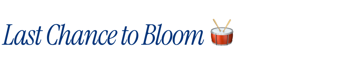 Last Chance to Bloom
