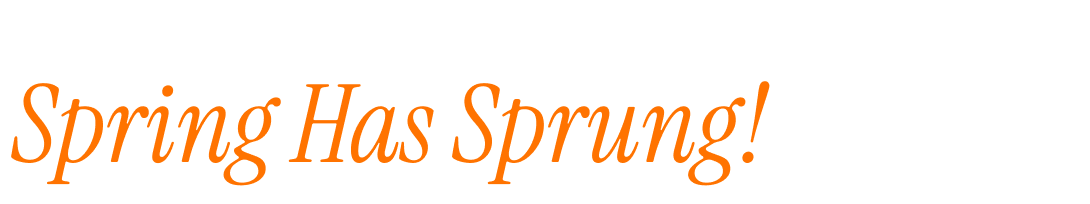 Spring Has Sprung!