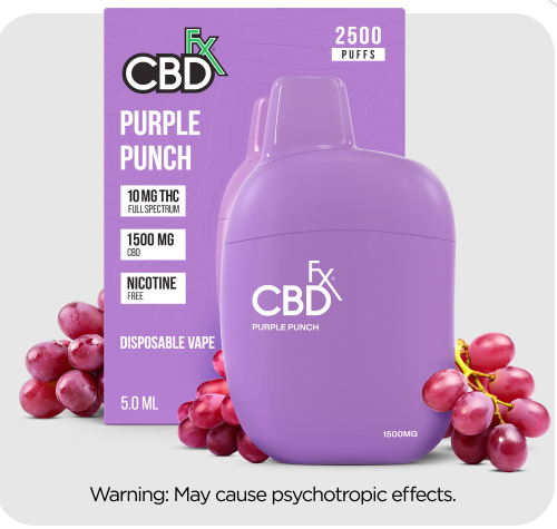Purple Punch THC Vape Pen
