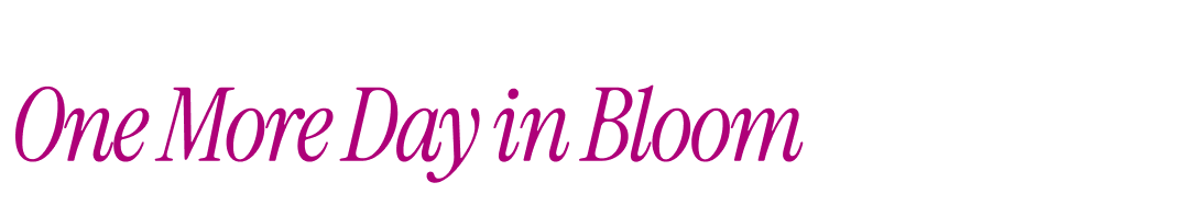 One More Day in Bloom