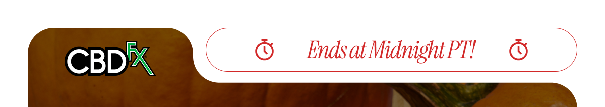 CBDfx - Final Day!