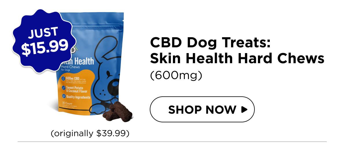 CBD Dog Treats: Skin Health Chews