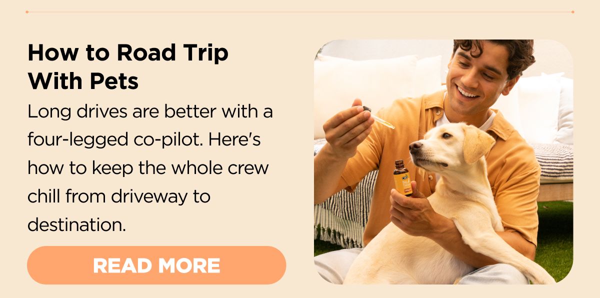 How to Road Trip with Pets Long drives are better with a four-legged co-pilot. Here's how to keep the whole crew chill from driveway to destination. [READ MORE]