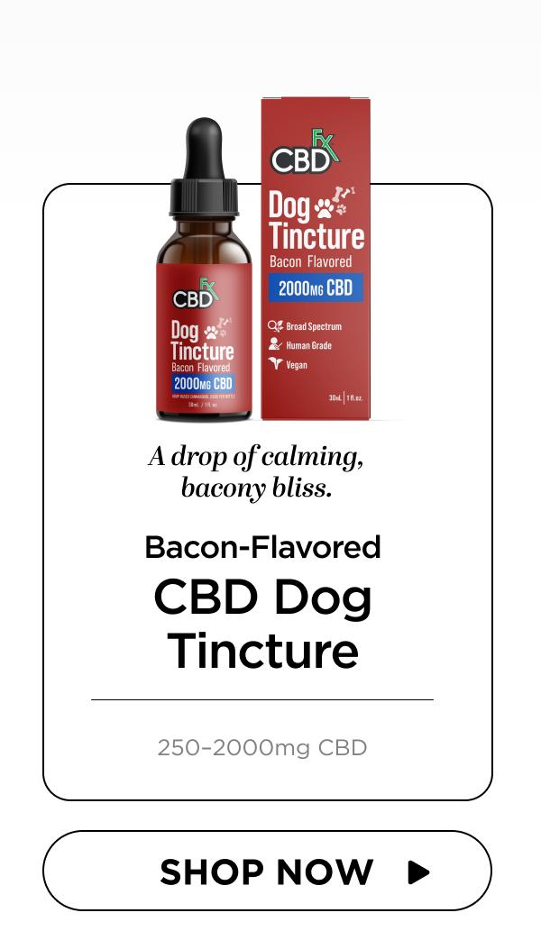 CBD Oil for Dogs (Bacon Flavored)