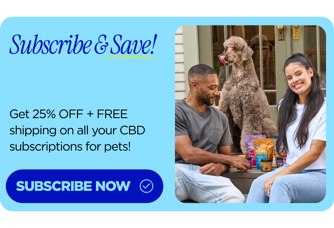 Subscribe & Save! Get 25% OFF + FREE shipping on all your CBD subscriptions for pets! SUBSCRIBE NOW