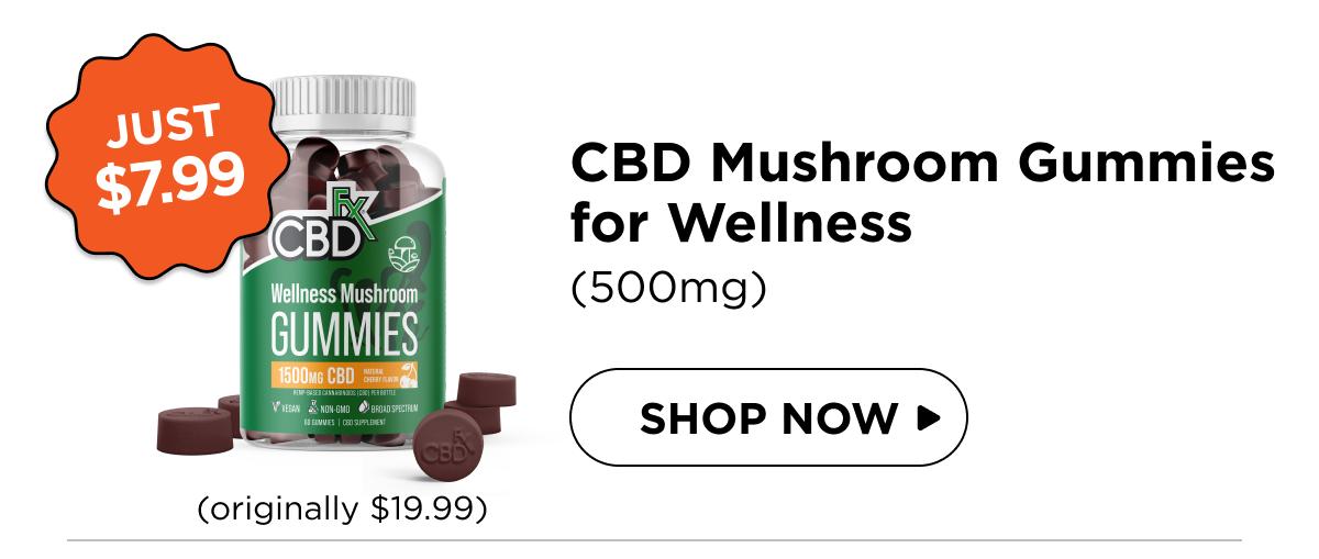 Wellness Mushroom Gummies