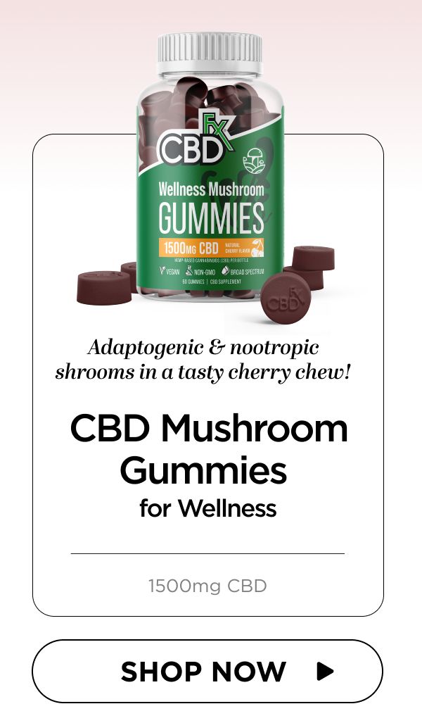 Wellness Mushroom Gummies