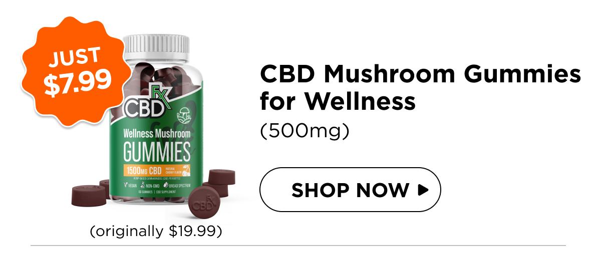 Wellness Mushroom Gummies