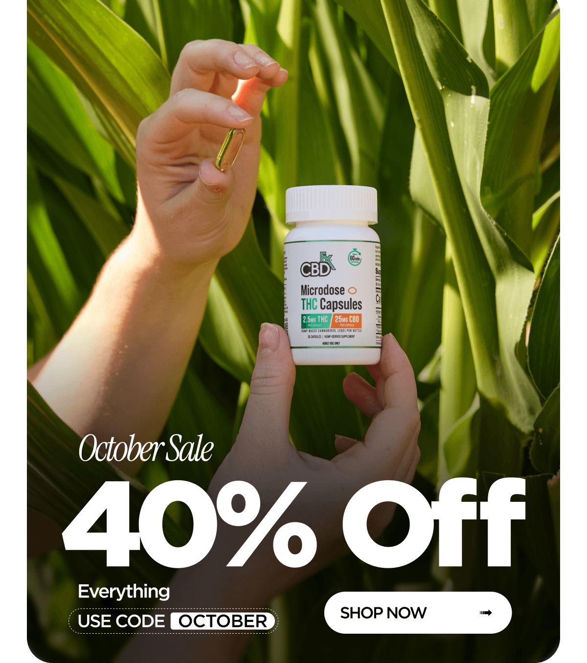 October Sale | 40% Off Everything