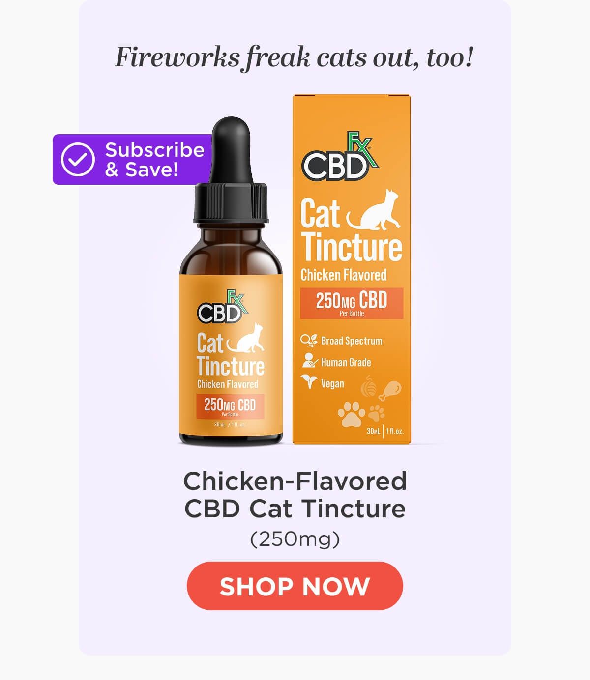 CBD Cat Tincture