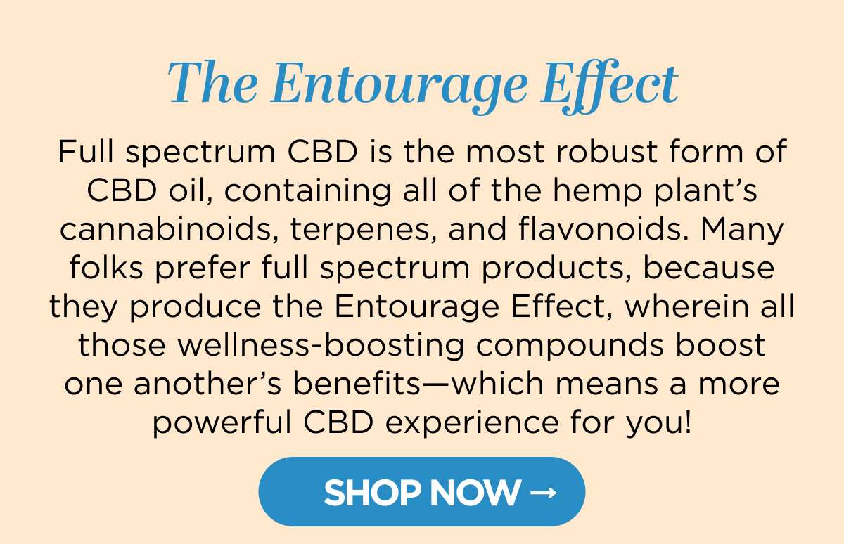 The Entourage Effect. Full spectrum CBD is the most robust form of CBD oil, containing all of the hemp plant’s cannabinoids, terpenes, and flavonoids. Many folks prefer full spectrum products, because they produce the Entourage Effect, wherein all those wellness-boosting compounds boost one another’s benefits—which means a more powerful CBD experience for you! Try one of our full spectrum CBD products today and feel the difference for yourself! [SHOP NOW]